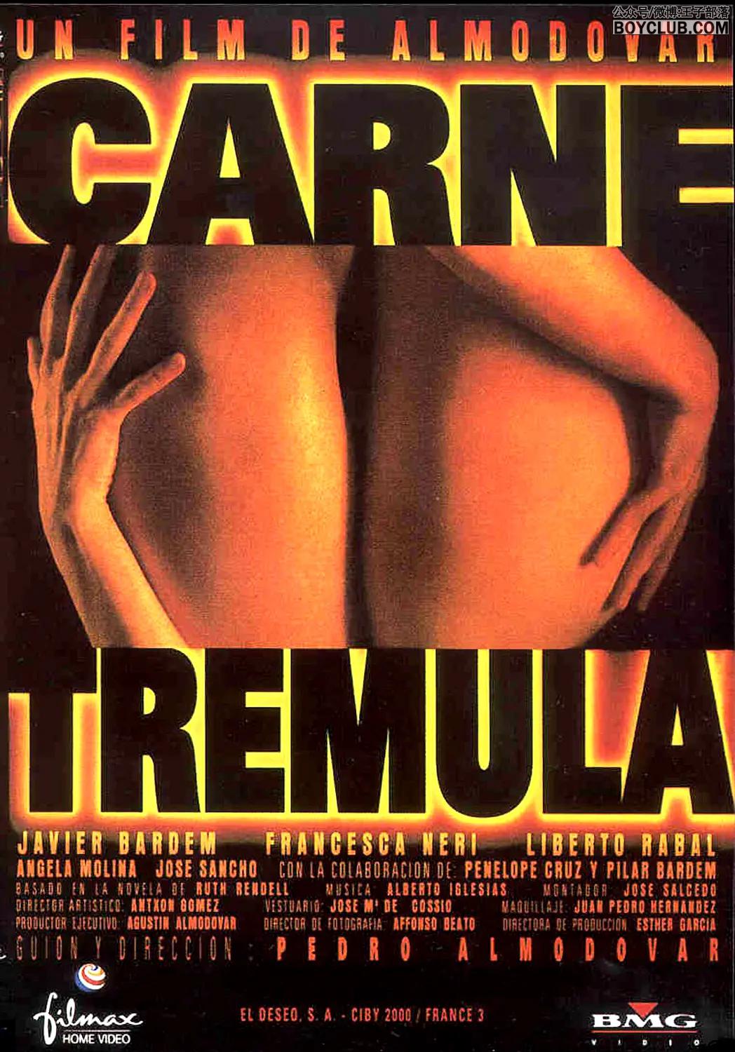 阿莫多瓦式的意乱情迷电影：活色生香 Carne trémula (1997)  VIP高清中文在线看！